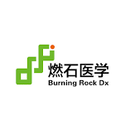 Burning Rock Biotech Ltd