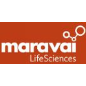Maravai LifeSciences Holdings Inc